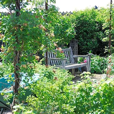 Bed In Waterland